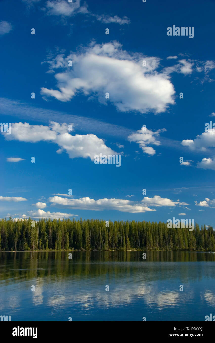 Holland Lago Flathead National Forest, Montana Foto Stock