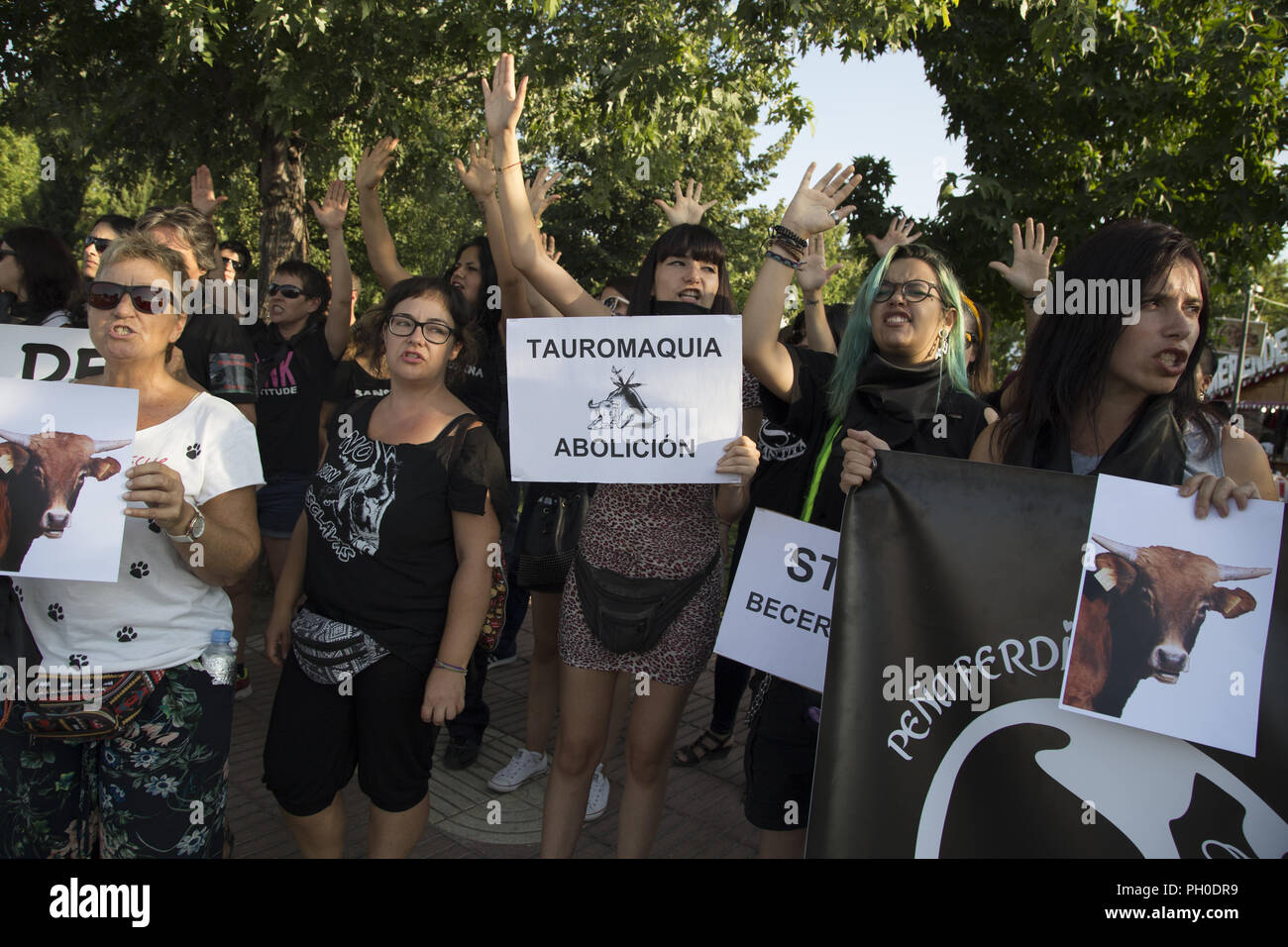 Agosto 29, 2018 - San SebastiÃ¡N De Los Reyes, Spagna - Anti-corrida manifestanti visto che gridavano contro la tortura animale.una folla di persone che hanno manifestato contro le corride e l'abuso di animali di fronte all'Arena di San Sebastian de los Reyes, noto come sanse e piccola Pamplona in riferimento alla corrida nella cultura della città. Credito: Lito Lizana/SOPA Immagini/ZUMA filo/Alamy Live News Foto Stock