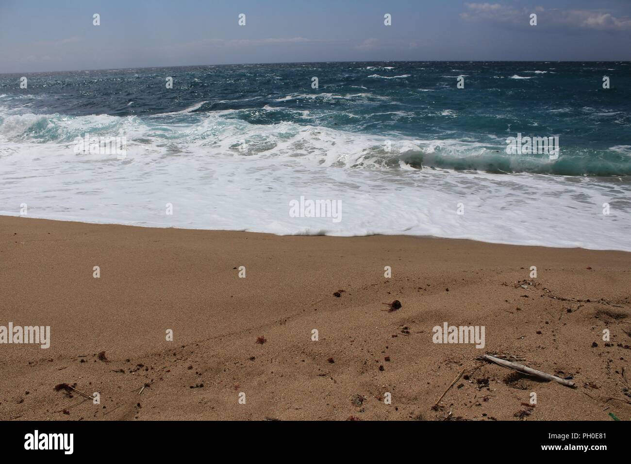 Crystal Clear e acque selvagge in Praia da Foz, Sesimbra, Portogallo. Sabbia dorata , gabbiani battenti, scogliere e formazione di roccia Foto Stock