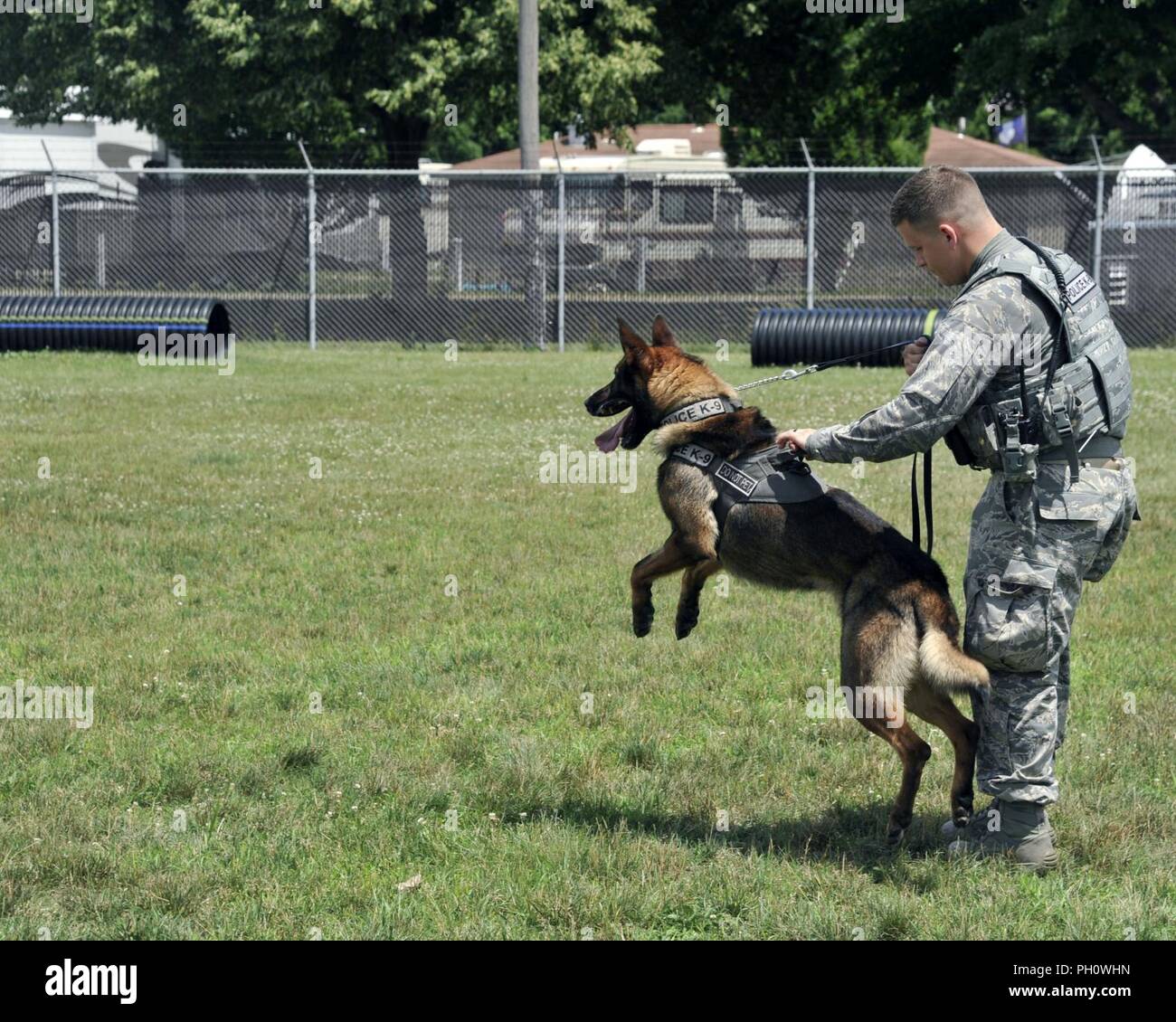 Stati Uniti Air Force Senior Airman Shawn Toepperwein, 88th delle forze di sicurezza Squadron patrolman, prepara il lavoro militari cane Kerry, per un attacco controllato come parte di una normale routine di formazione presso le forze di sicurezza militari di cane da lavoro unità di addestramento, Wright-Patterson Air Force Base, Ohio, 20 giugno 2018. Kerry ha completato il 180 giorni di formazione per il programma di lavoro militare cani a base comune di San Antonio, Texas. Foto Stock