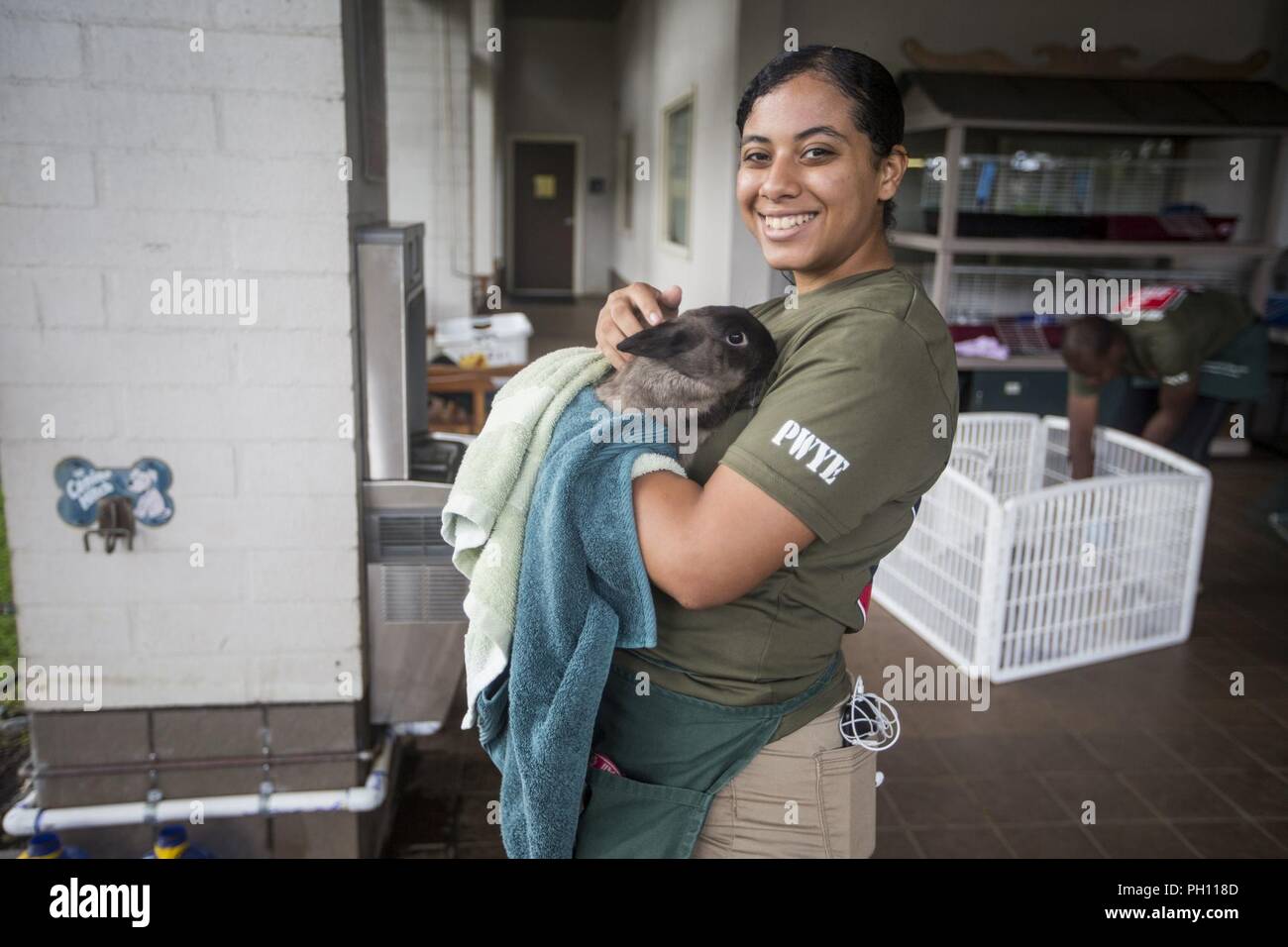 Stati Uniti Marine Corps PFC. Neshira Camacho, un'attività aeronautica specialista con Marine Aircraft Group 24, posa per una foto con un coniglietto attualmente in attesa di adozione nel corso di un evento di volontariato all'Hawaiian Humane Society, Honolulu, Giugno 24, 2018. L'evento SMSP coinvolti aiutando prendersi cura dei vari animali attualmente trattati presso il rifugio e consentito di Marines e marinai di volontariato nella comunità locale. Foto Stock