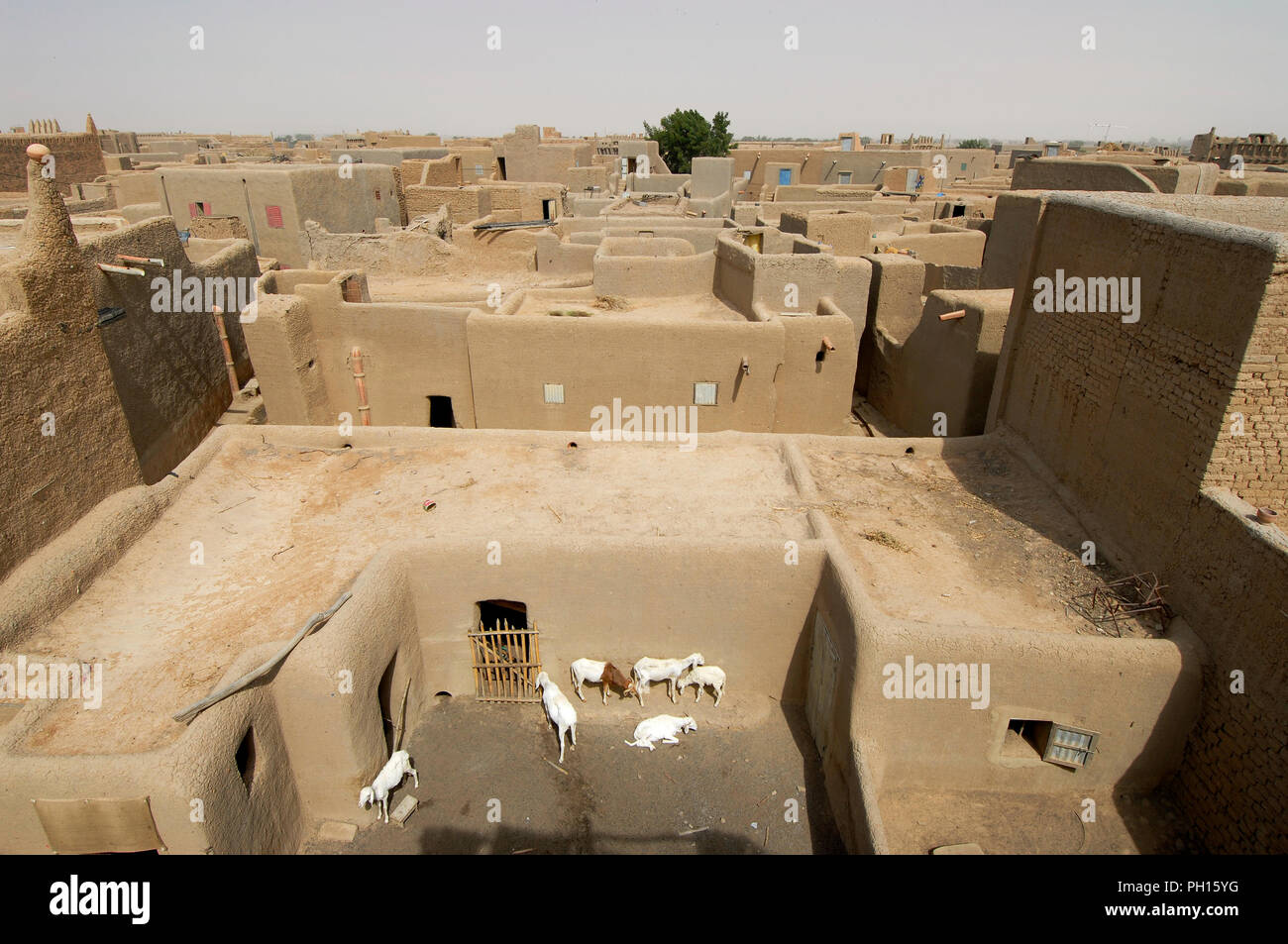 Tradizionali case di fango di Djenné, un sito Patrimonio Mondiale dell'Unesco. Mali, Africa occidentale Foto Stock