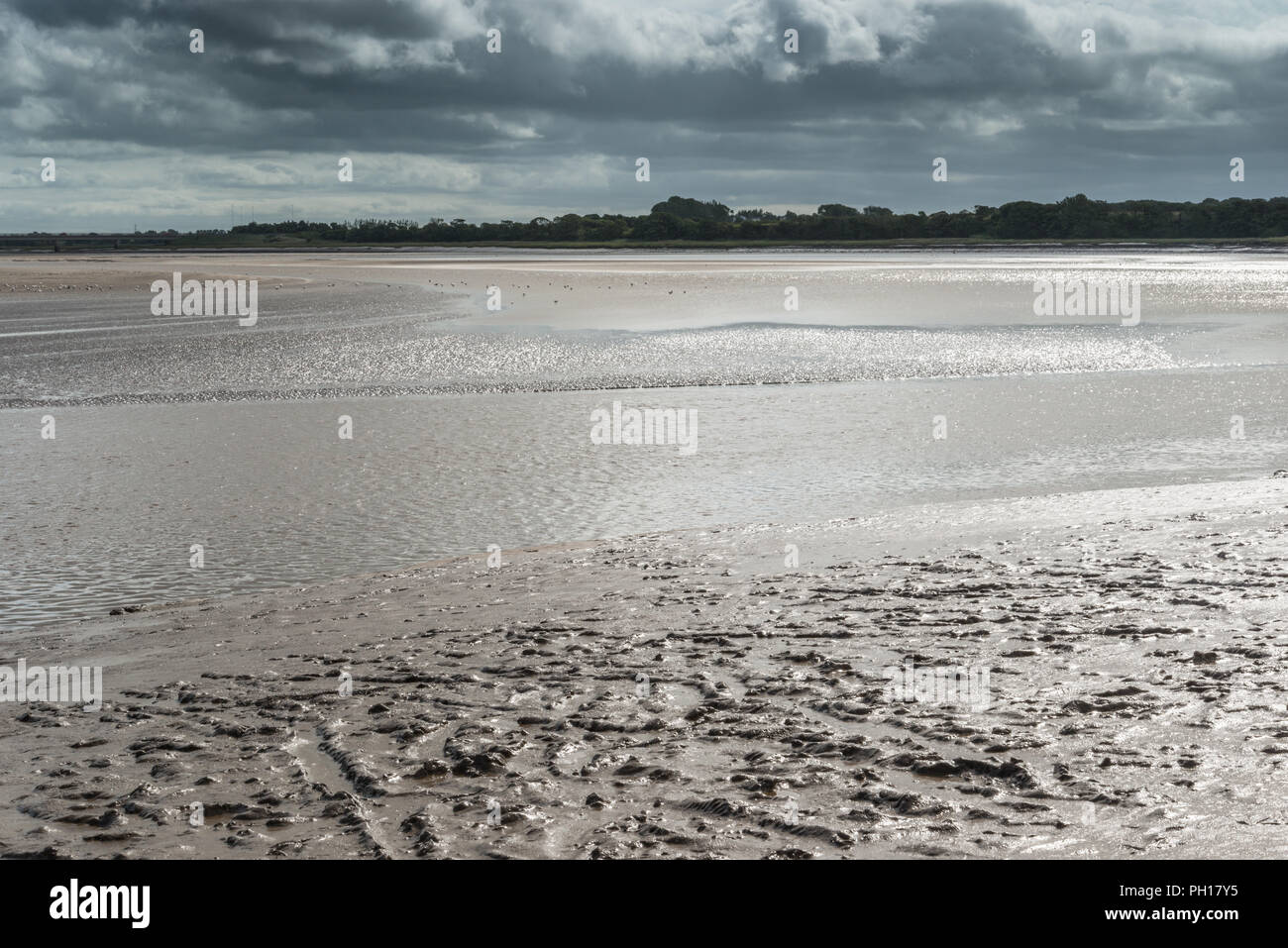 Riverside a piedi lungo il fiume Wyre a Skippool Creek su un soleggiato agosto mattina a come la marea era venuta a. Popolare con le imbarcazioni da diporto, numerosi pontili Foto Stock