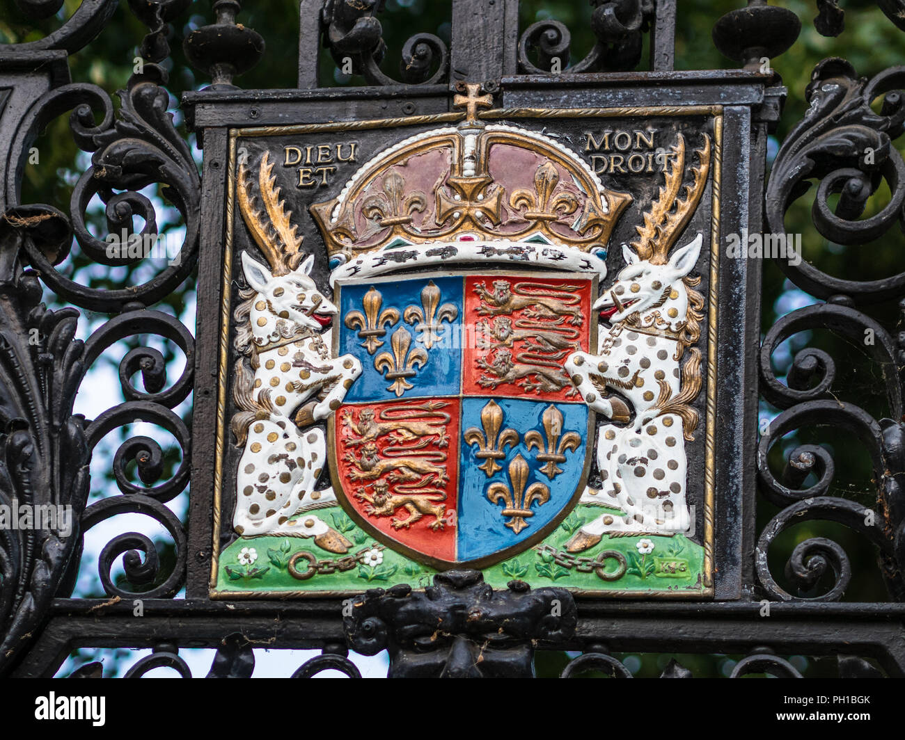 Kings College di Cambridge stemma reale di re Enrico VI, fondatore di Kings College nel 1441 Foto Stock