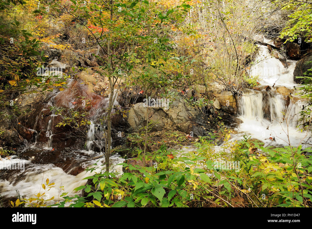Paesaggio autunnale che mostra la natura scena. Foto Stock