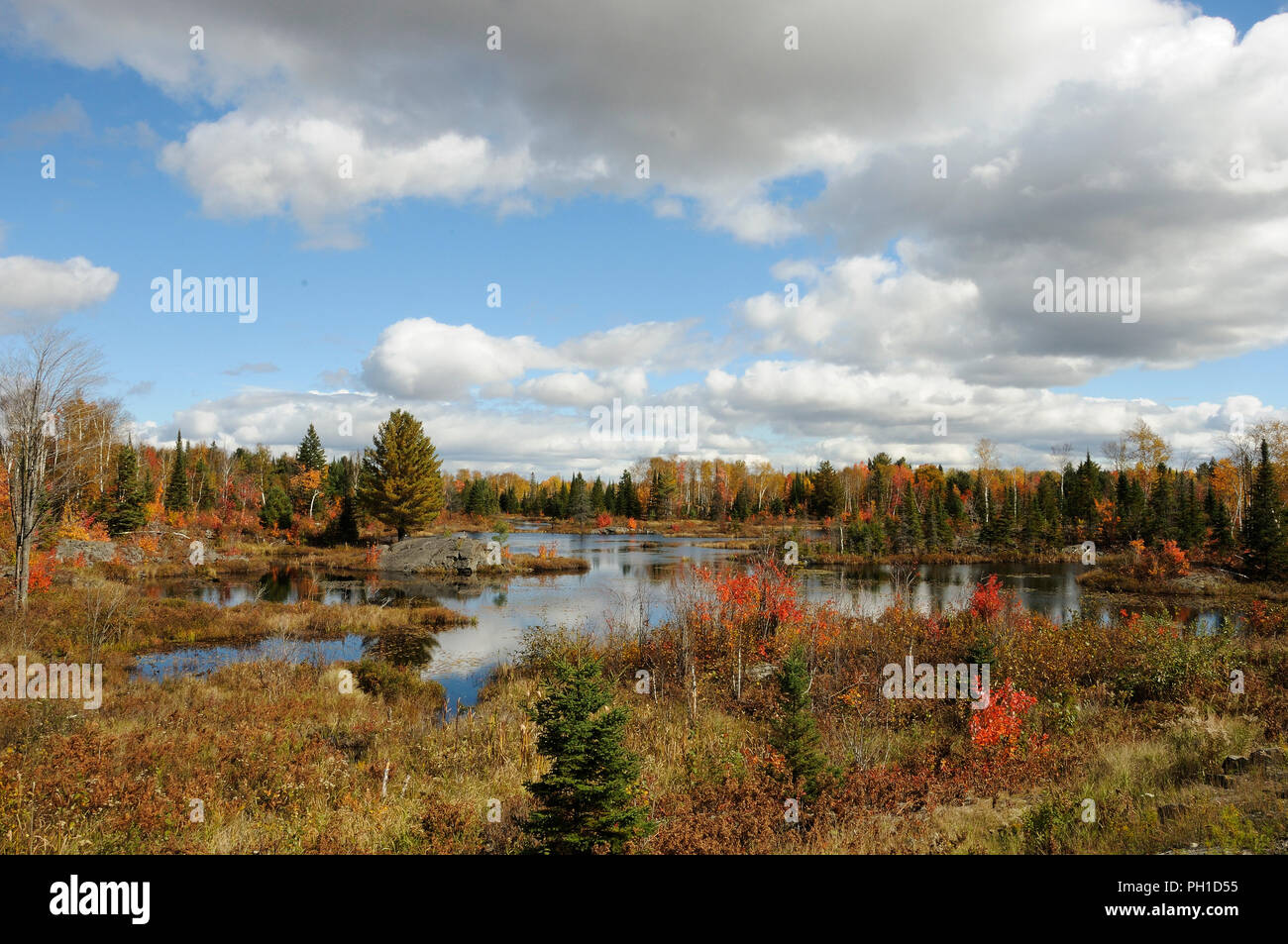 Paesaggio autunnale che mostra la natura scena. Foto Stock