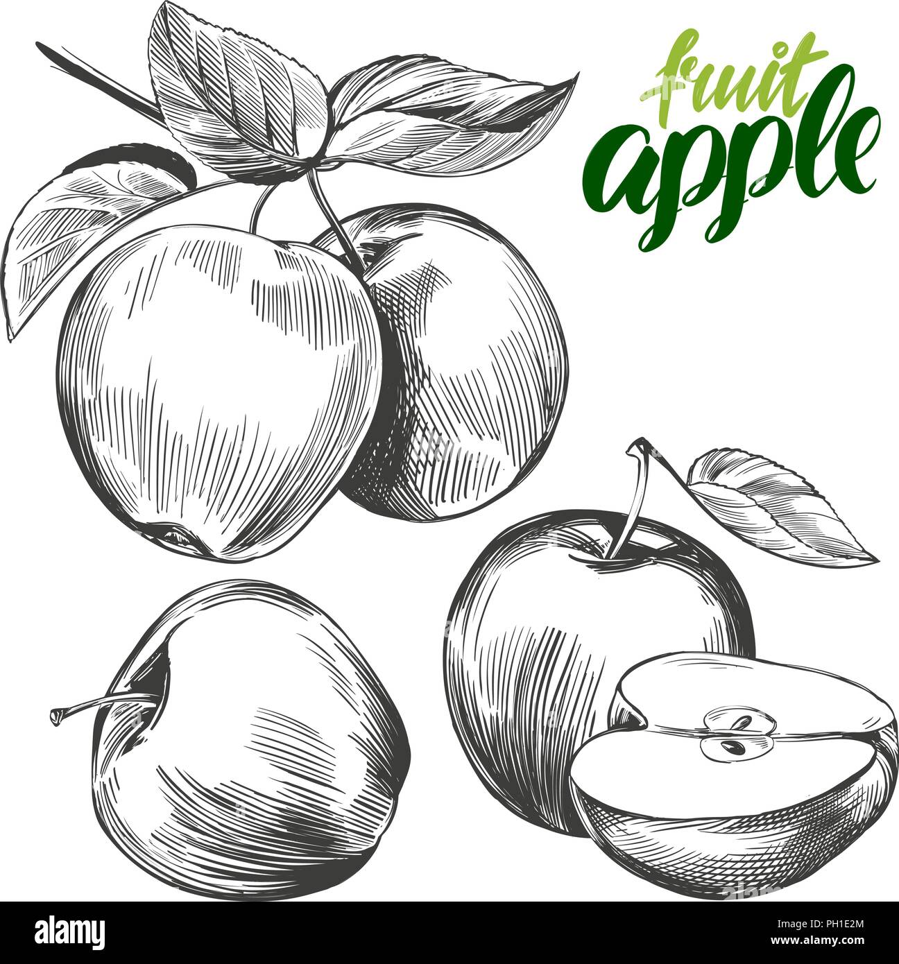 Apple set di frutta disegnati a mano illustrazione vettoriale schizzo Illustrazione Vettoriale