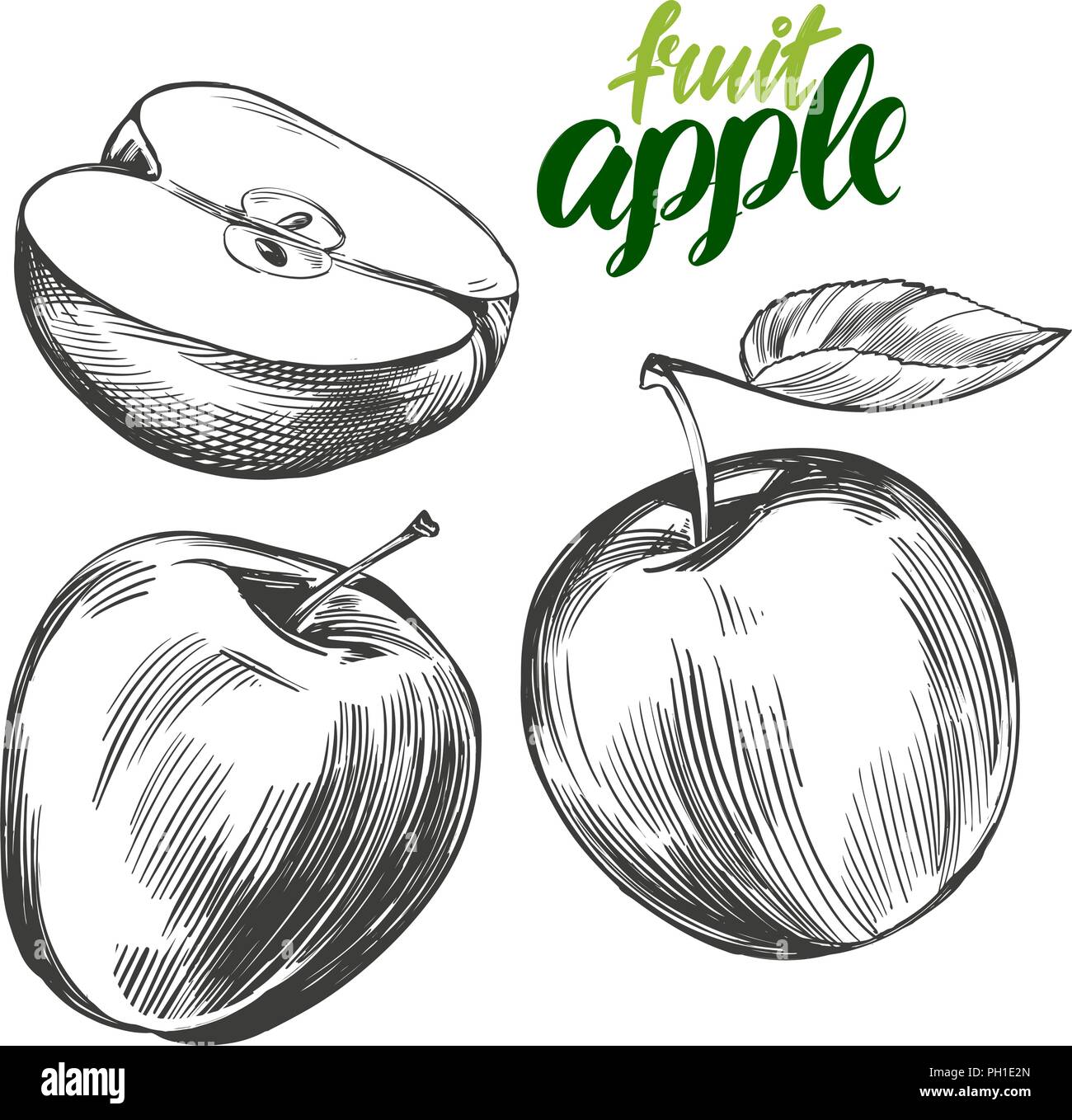 Apple set di frutta disegnati a mano illustrazione vettoriale schizzo Illustrazione Vettoriale