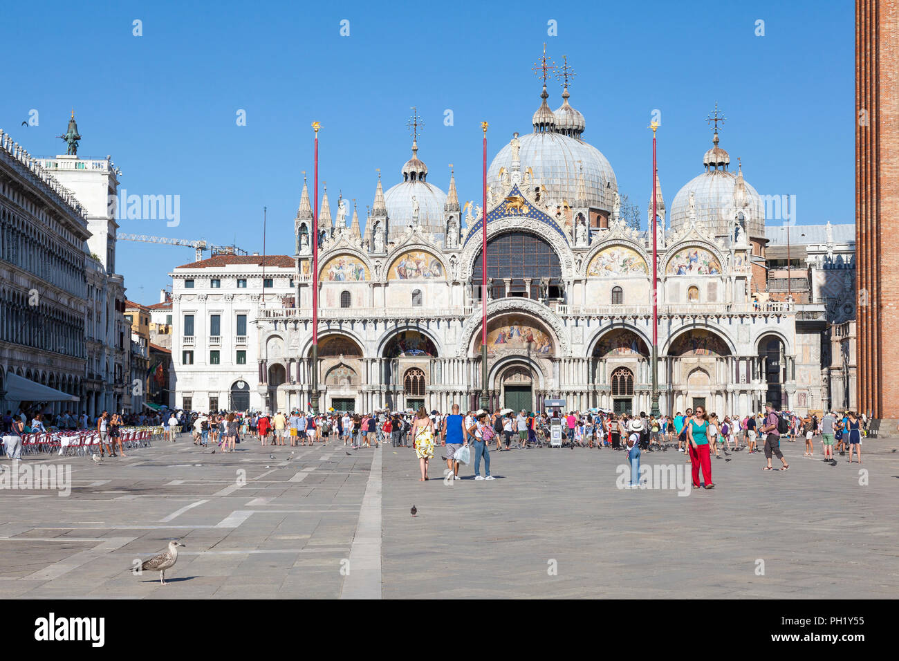 I turisti viewng Basilica San Marco (ST MARKS Cattedrale), Piazza San Marco, Piazza San Marco, San Marco, Venezia, veneto, Italia, cielo blu serata estiva Foto Stock