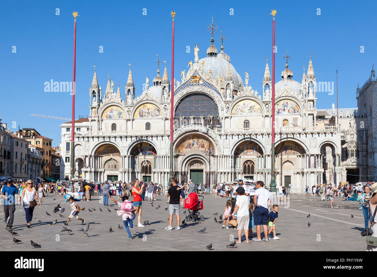 I turisti viewng Basilica San Marco (ST MARKS Cattedrale), Piazza San Marco, Piazza San Marco, San Marco, Venezia, veneto, Italia, cielo blu serata estiva Foto Stock