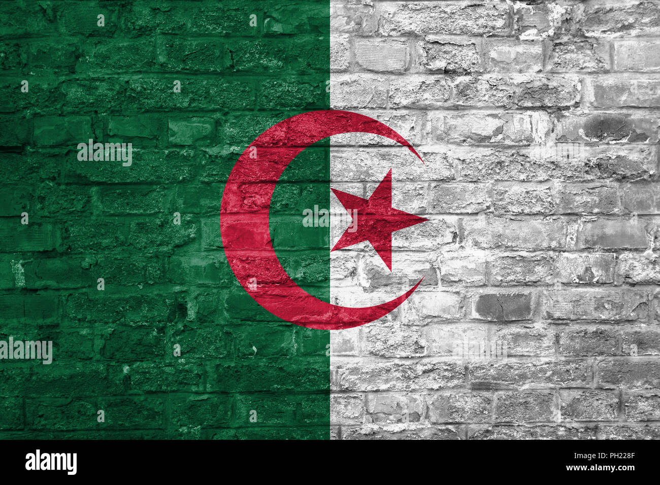 Bandiera di Algeria su un vecchio muro di mattoni di sfondo, superficie Foto Stock