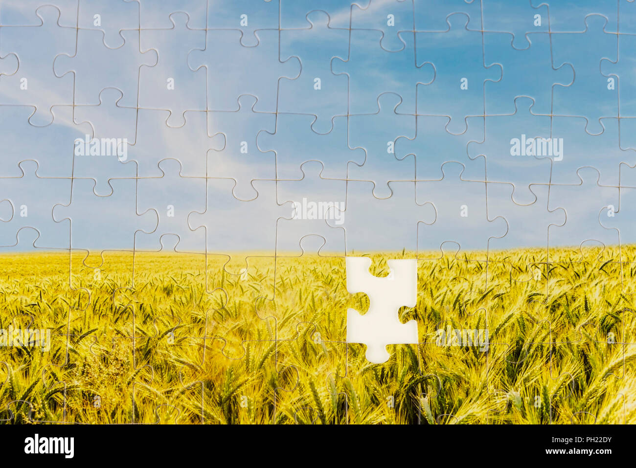 Un ultimo pezzo richiesto per completare il puzzle in un paesaggio mosaico raffigurante un campo soleggiato o maturazione golden del frumento con un pezzo mancante in c Foto Stock