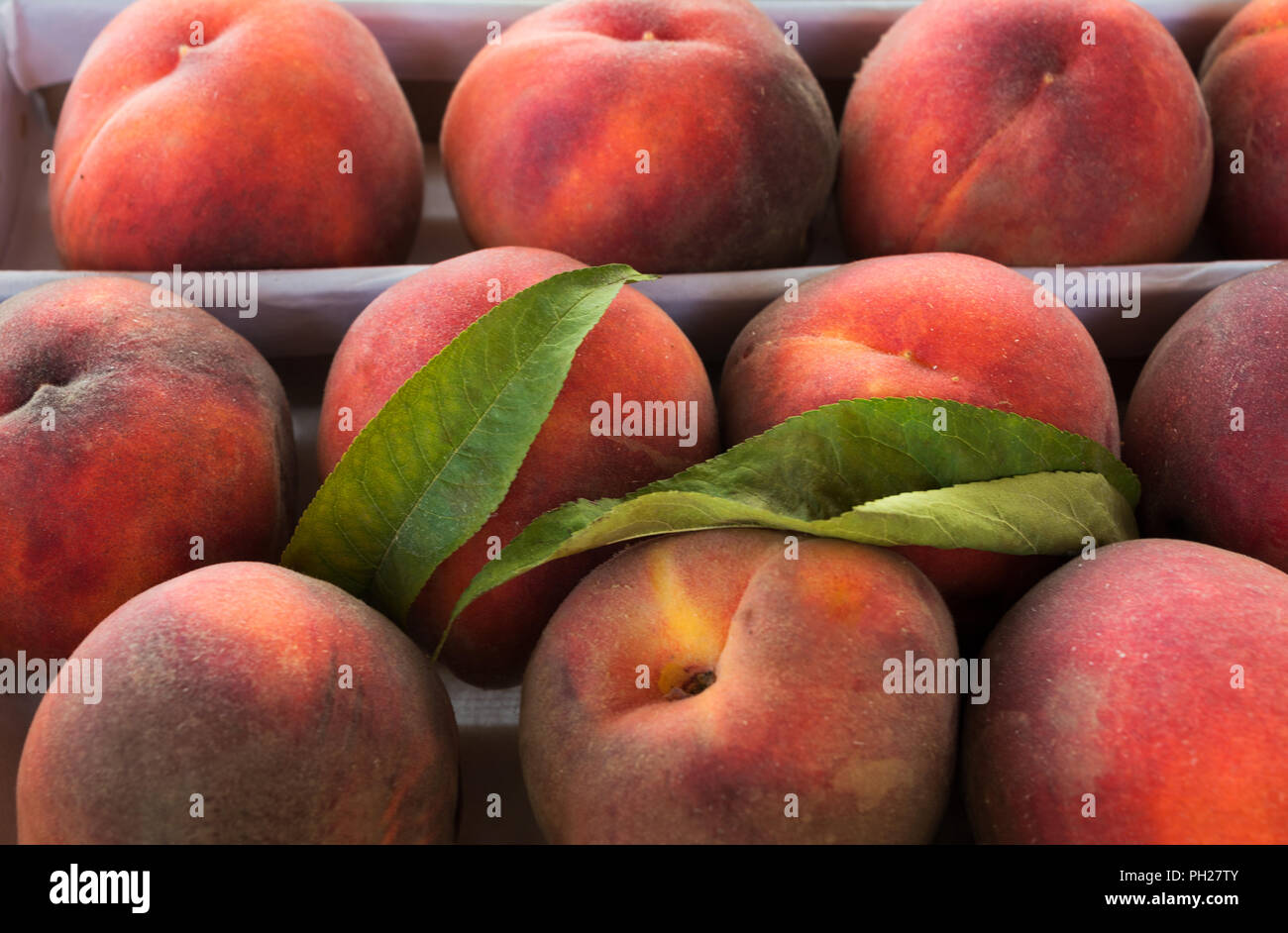 Rosso fresco freestone peach background come abbondanza simbolo del raccolto. Uno stile di vita sano concetto con frutti maturi Foto Stock