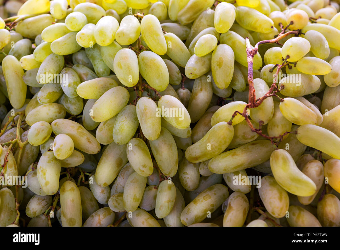 Fresca uva verde dello sfondo abbondanza come simbolo del raccolto. Uno stile di vita sano concetto con frutti maturi Foto Stock