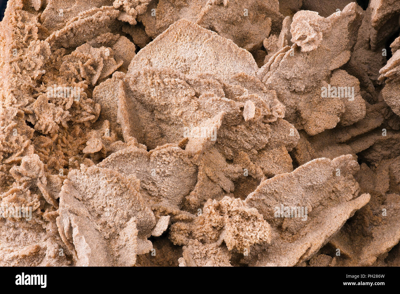 la sabbia rosa-rossa si innalzò da vicino, dettagli dei grani di sabbia e la struttura unica di una rosa di sabbia del deserto, struttura delicata di questa formazione naturale Foto Stock