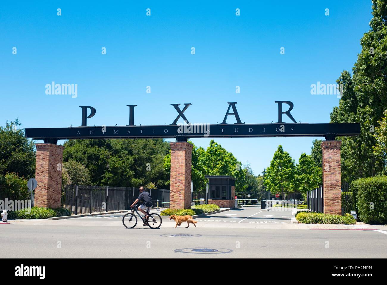 Un uomo che cavalca la sua bicicletta e passeggiate con il cane oltre i cancelli di entrata presso la sede della Pixar Animation Studios nel centro cittadino di Emeryville, California, con logo visibile, Giugno 12, 2018. () Foto Stock