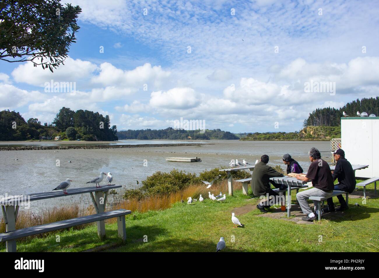 Persone in appoggio sulla riva del porto Ohiwa in Tauranga, Isola del nord, Nuova Zelanda, 30 ottobre 2017. () Foto Stock