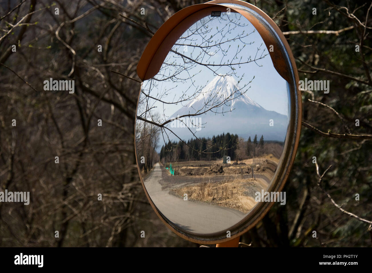 Mt Fuji è riflessa in un traffico di specchi vicino alla testa di un sentiero che prende il trekking attraverso le parti di ricambio dell'altopiano Asagiri, con quasi uninterrupte Foto Stock