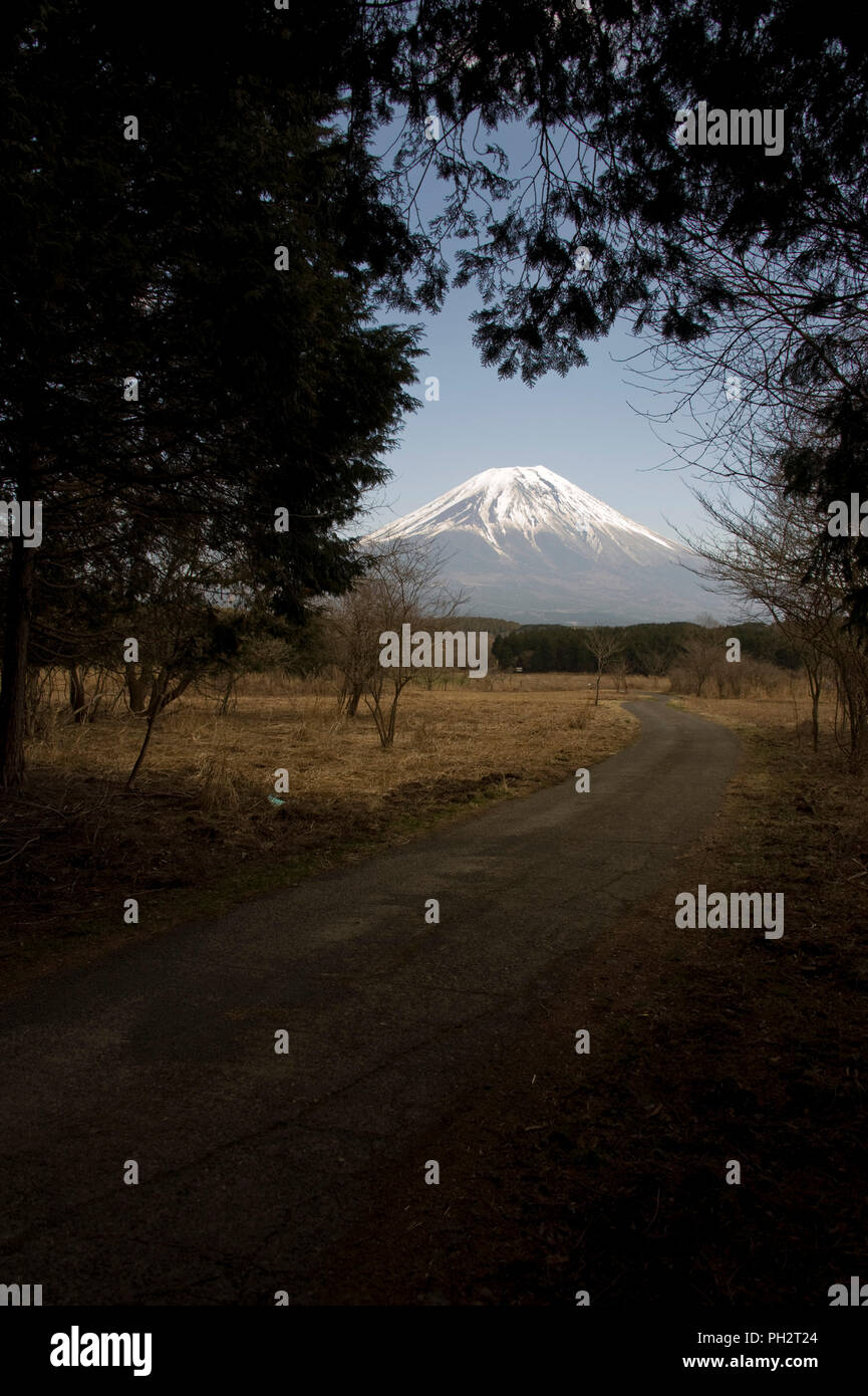 Mt Fuji può essere visto durante una passeggiata lungo il Plateau Asagiri nella Prefettura di Shizuoka Giappone il 22 marzo 2013. Giappone iconici Mt., che attrae quasi Foto Stock