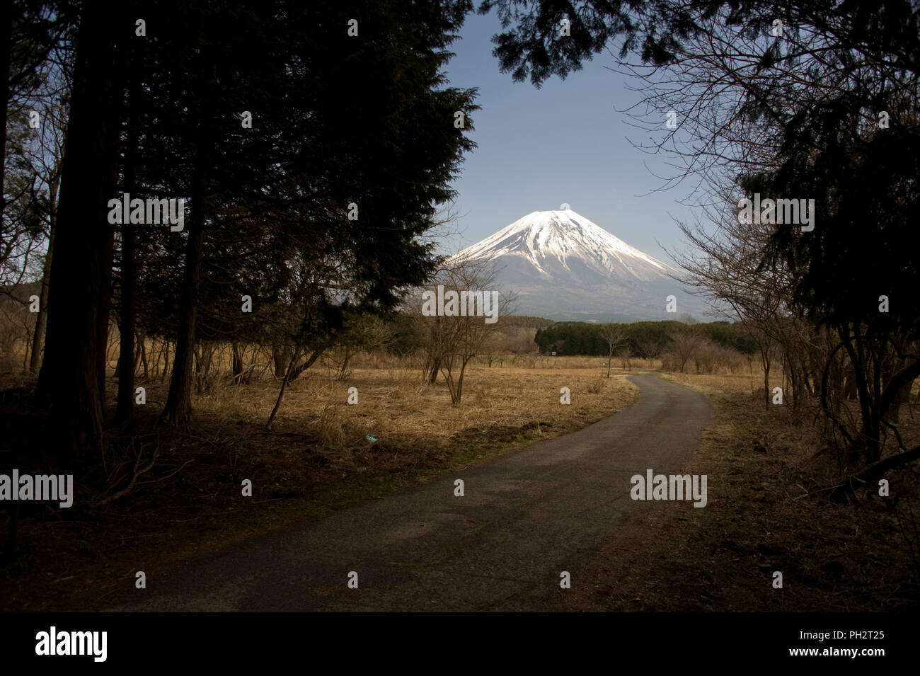 Il monte Fuji visto da una passeggiata che porta il trekking attraverso le parti di ricambio dell'altopiano Asagiri nella Prefettura di Shizuoka Giappone il 22 marzo 2013. Giappone iconici Mt. Un Foto Stock