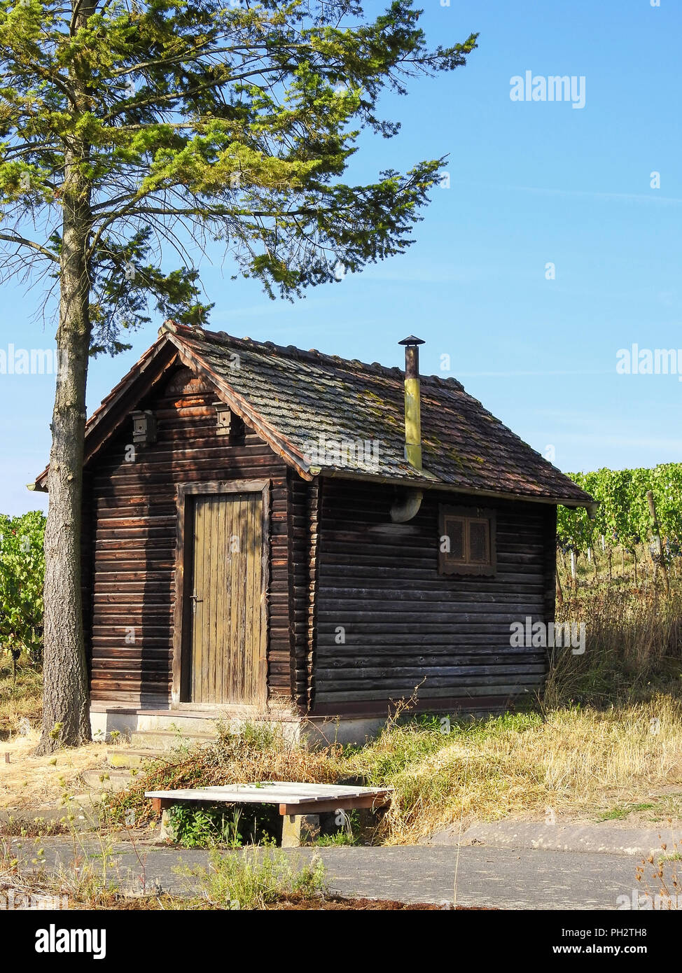Paesaggio rurale per i vigneti europei in estate Foto Stock