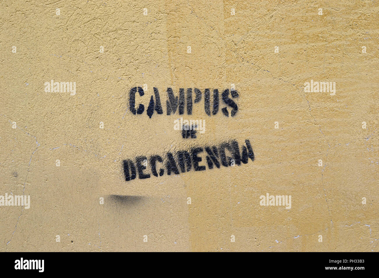 Stampata graffiti politici su una parete presso il campus della Università di Oviedo a Oviedo, Asturias, Spagna, affermando di essere un 'campus di declino". Foto Stock