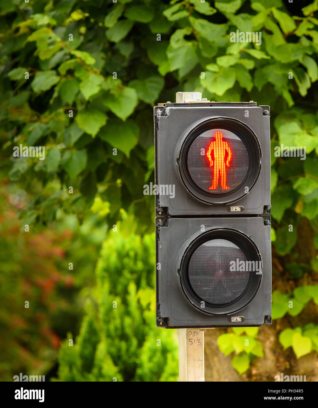 Gestione del traffico (agosto 2018) su Northall Streeet, Kettering, Inghilterra, a causa di lavori in corso sulla strada Eskdaill per renderlo a due vie. Foto Stock