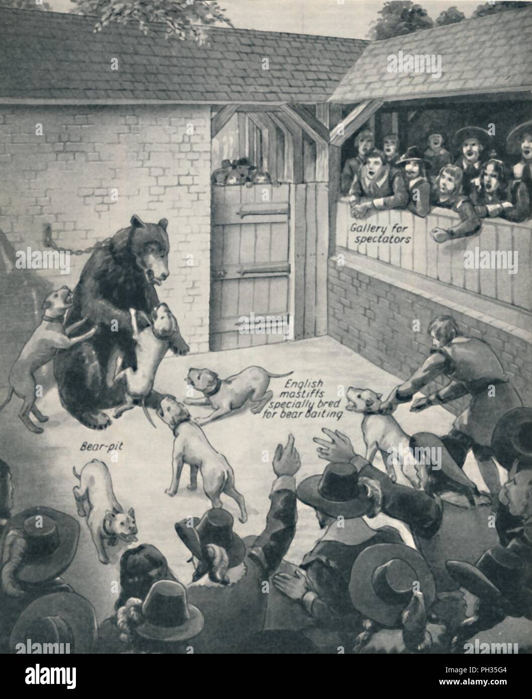 "Bear-Baiting in un Stuart Bear Pit', C1934. Artista: sconosciuto. Foto Stock