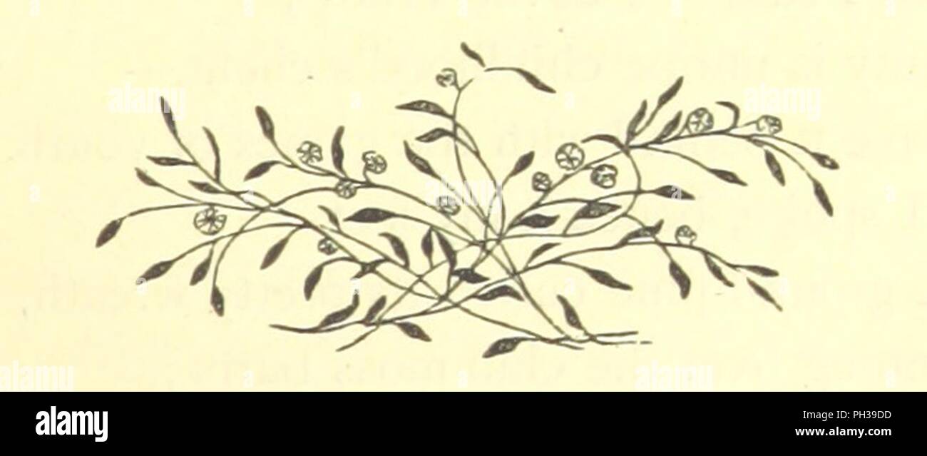 Immagine dalla pagina 17 di "Poesie della vita interiore. Scelto principalmente dagli autori moderni. [Firmato, R. C. J., cioè Robert Crompton Jones.]' . Foto Stock