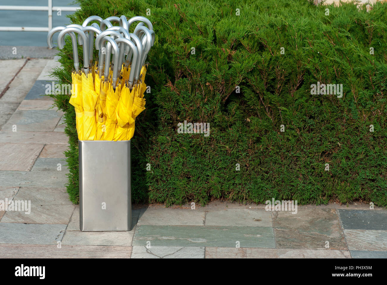 Argento cestino in metallo con ombrelli gialli con manici argento nella lobby dell'albergo, contro lo sfondo di una macchia verde Foto Stock