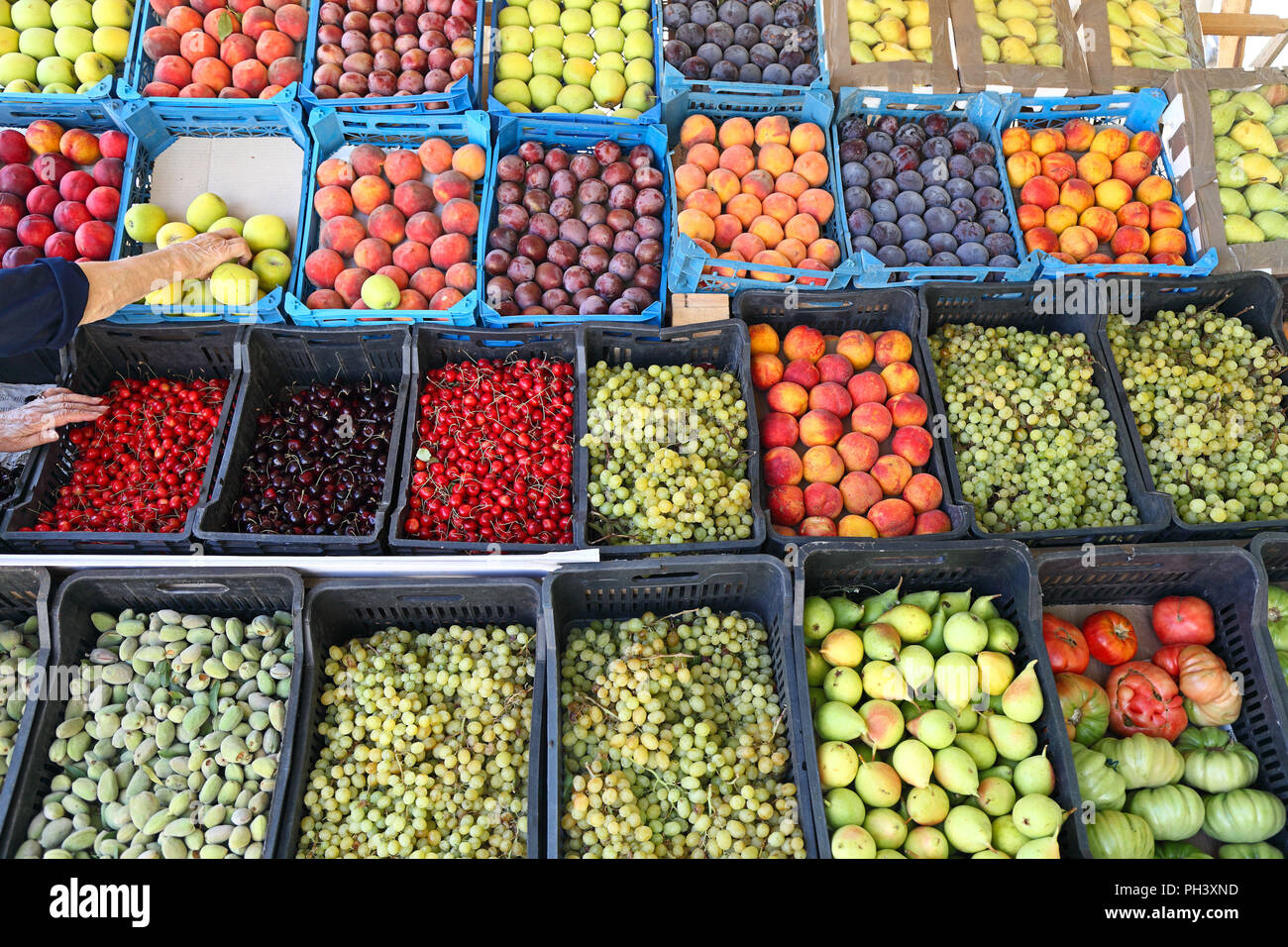 La frutta e la verdura Stand, Libano Foto Stock