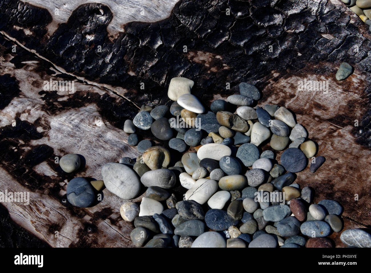 Pietre sulla spiaggia su una lavata fino tronco di albero Foto Stock