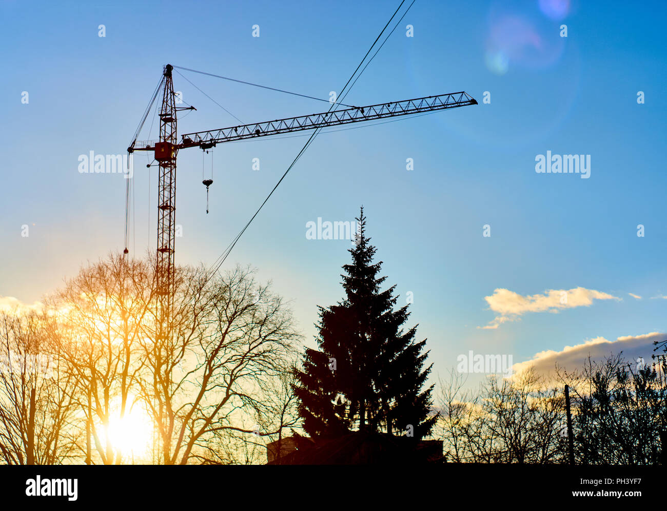 Tall gru da cantiere silhouette sopra gli alberi e i rami in campagna durante il tramonto Foto Stock