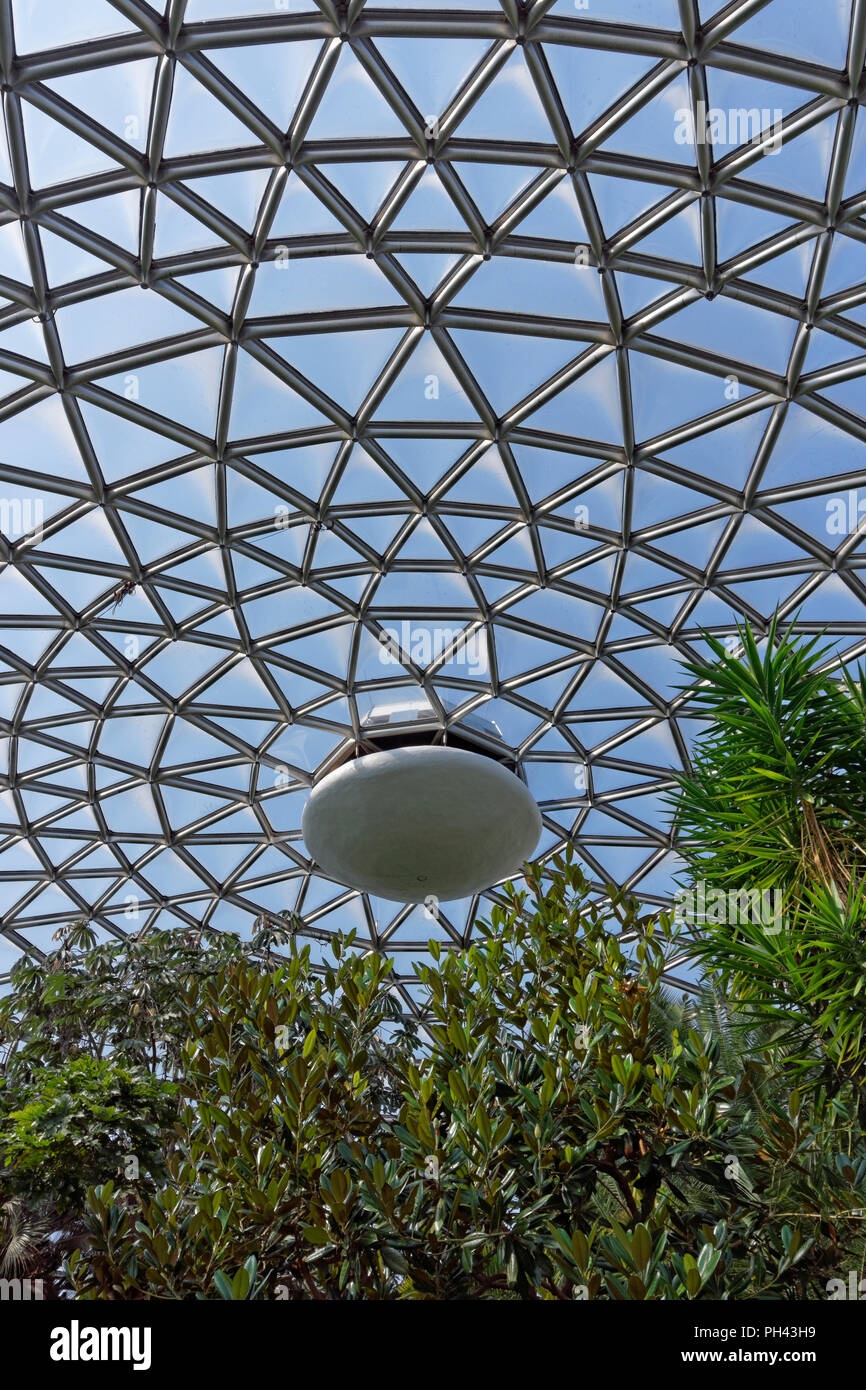 Piante tropicali e Triodetic cupola della Bloedel Conservatory in Queen Elizabeth Park, Vancouver, BC, Canada Foto Stock