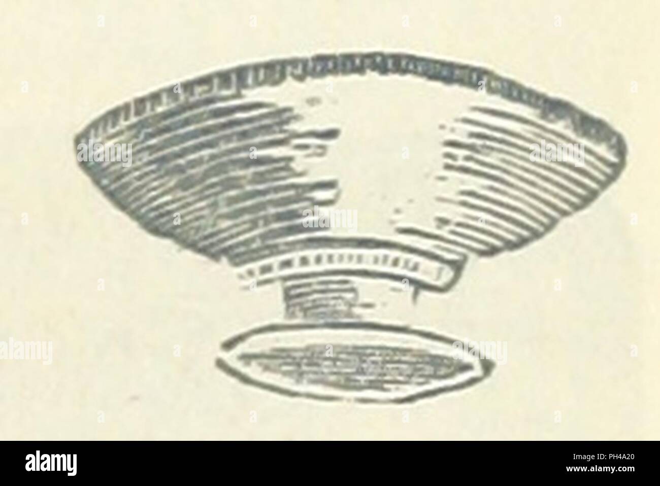 Immagine dalla pagina 747 di 'Lo storico locale della tabella del libro di notevole occorrenze, fatti storici, tradizioni, leggendario e ballate descrittivo, collegato con le contee di Newcastle-upon-Tyne, Northumberland, e Dur0019. Foto Stock