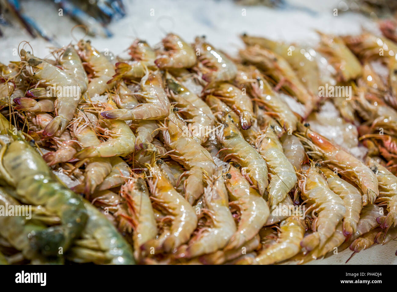 Freschi di Gamberoni su heap di stallo del mercato Foto Stock