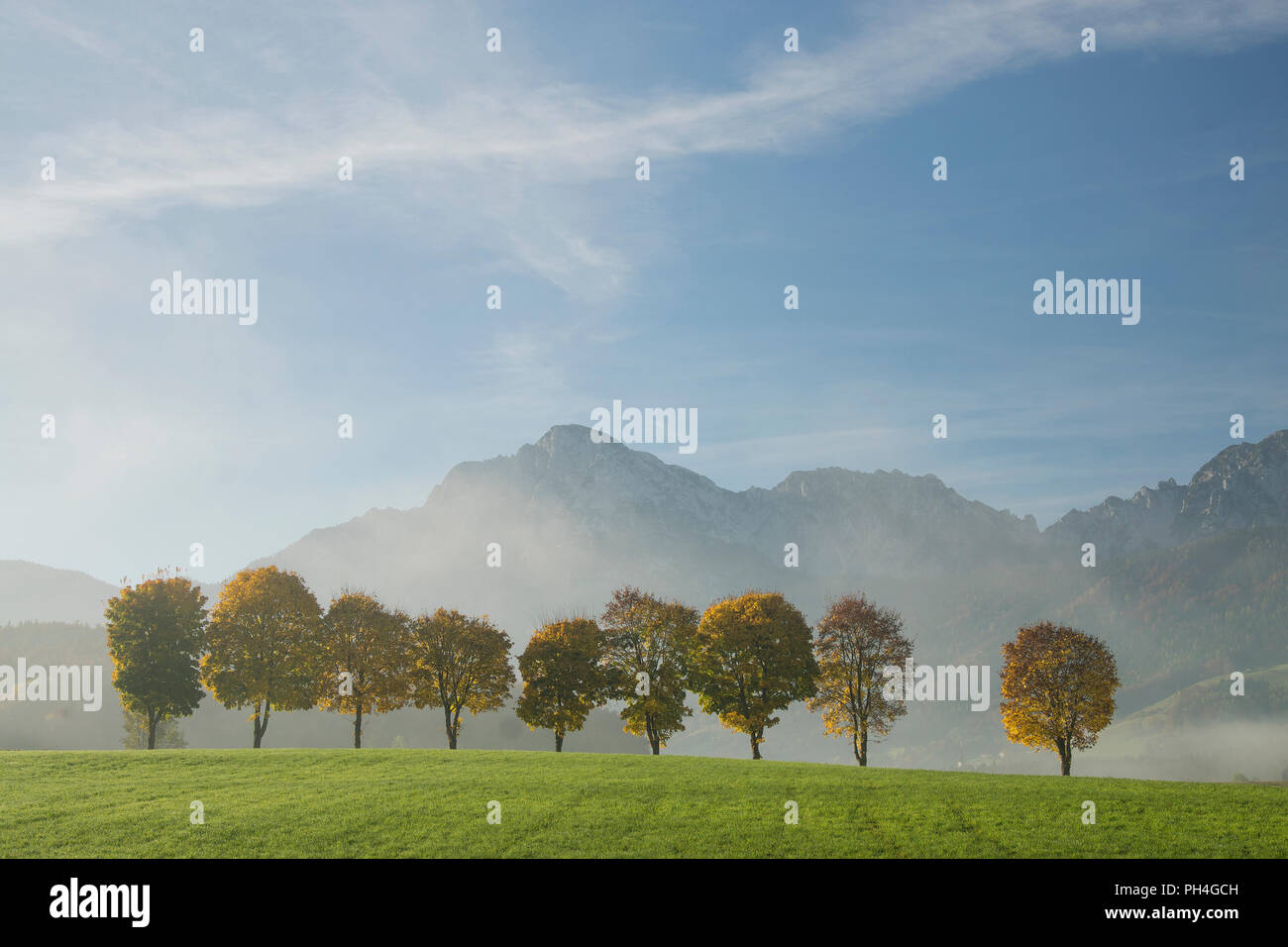 Viale alberato in autunno nei pressi del villaggio di rabbia con le montagne e di Hohenstaufen Zwiesel in background. Alta Baviera, Germania Foto Stock