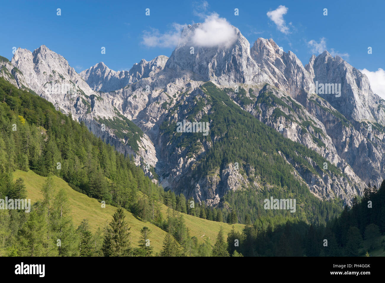 La gamma della montagna Muehlsturzhoerner visto dall'alpeggio Bindalm nel Parco Nazionale di Berchtesgaden. Sulle Alpi di Berchtesgaden, Germania Baviera superiore Foto Stock