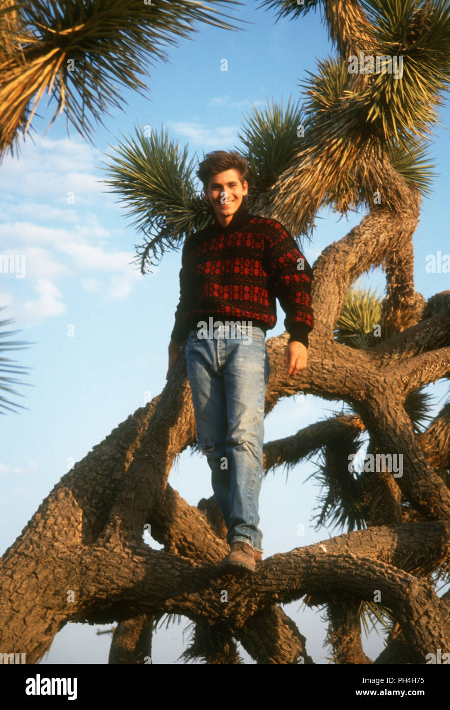 Deserto Mojave, CA - 26 agosto: (esclusiva) attore Michael A. Goorjian pone a scattare una foto su agosto 26, 1992 nel deserto di Mojave, California. Foto di Barry re/Alamy Stock Photo Foto Stock