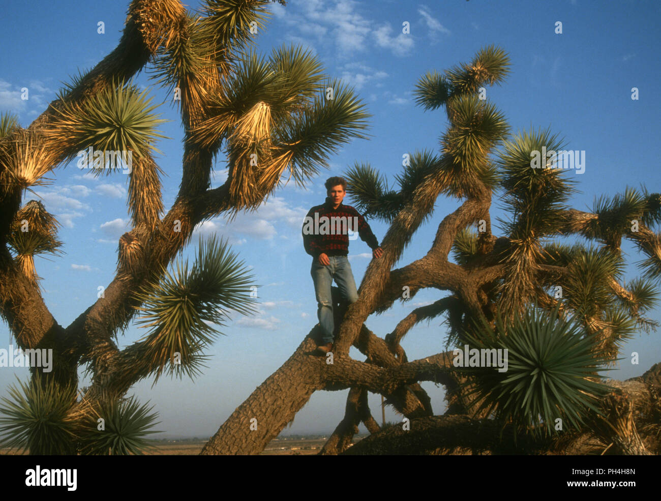 Deserto Mojave, CA - 26 agosto: (esclusiva) attore Michael A. Goorjian pone a scattare una foto su agosto 26, 1992 nel deserto di Mojave, California. Foto di Barry re/Alamy Stock Photo Foto Stock