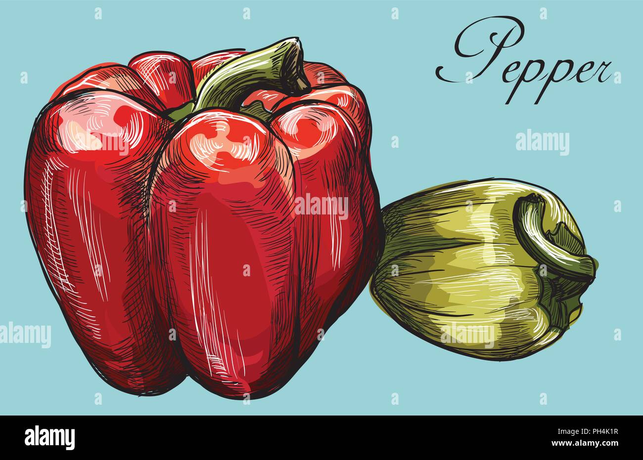 Disegnato a mano- vegetali peperoni rosso e verde. Vettore illustrazione colorata isolato su sfondo blu. Illustrazione Vettoriale