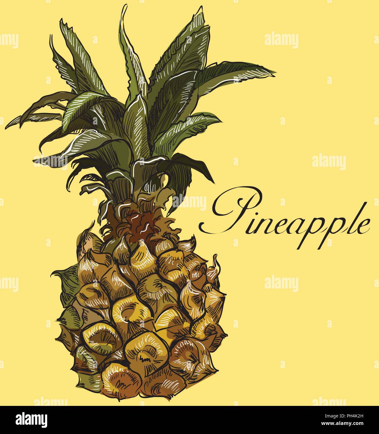 Disegnata a mano la frutta ananas. Vettore illustrazione colorata isolato su sfondo giallo. Illustrazione Vettoriale