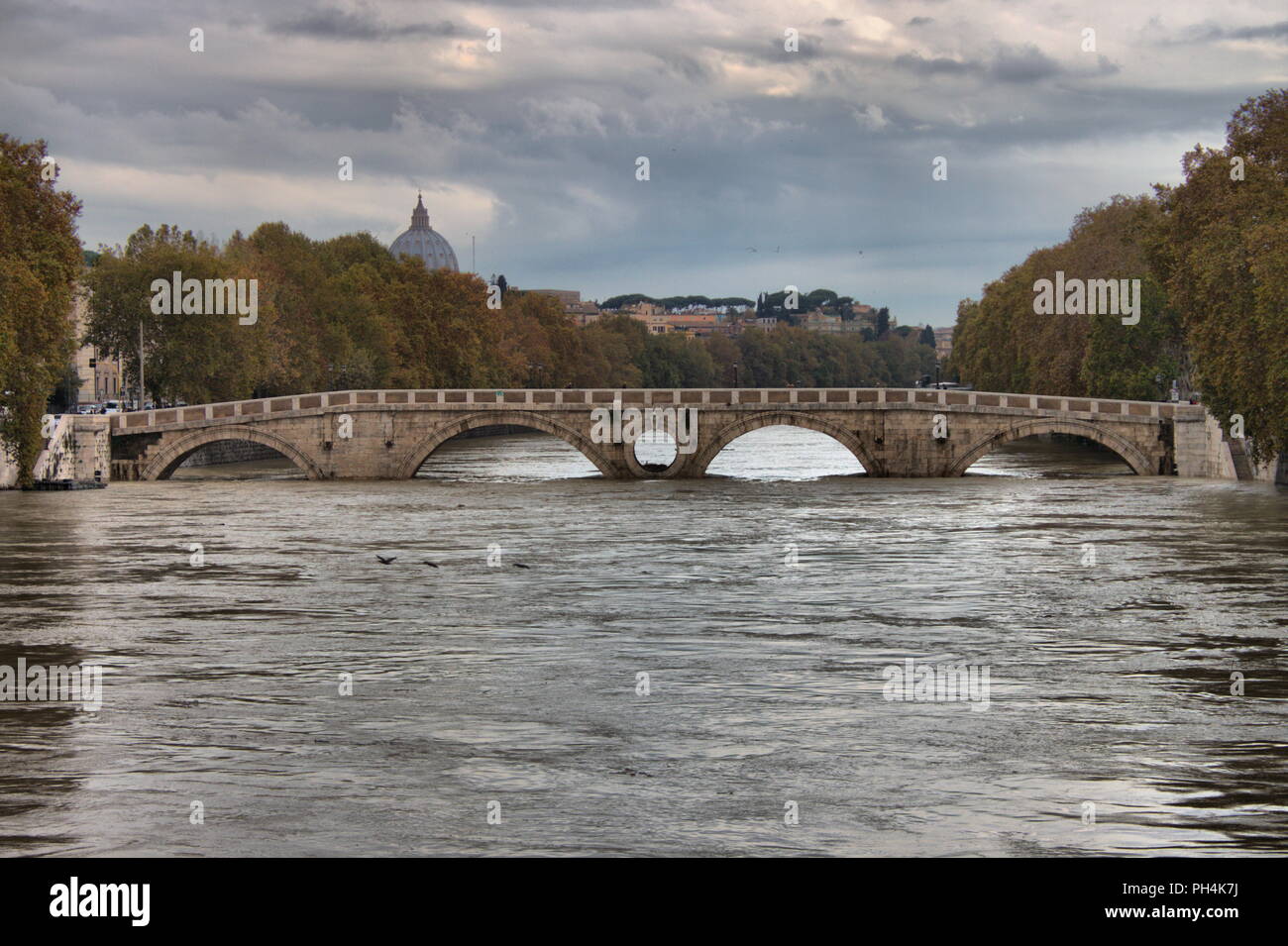 Roma - novembre 15: Ponte Sisto durante l'alluvione del fiume Tevere il 15 novembre 2012 a Roma. Il livello del fiume ha raggiunto il massimo nel 50 anno Foto Stock