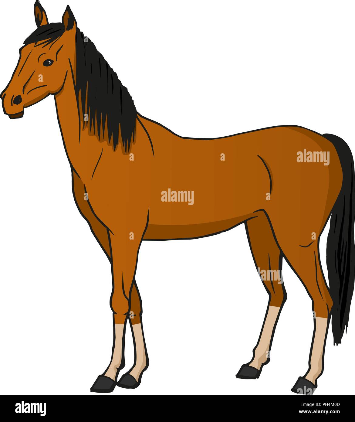 Illustrazione Vettoriale cavallo Illustrazione Vettoriale