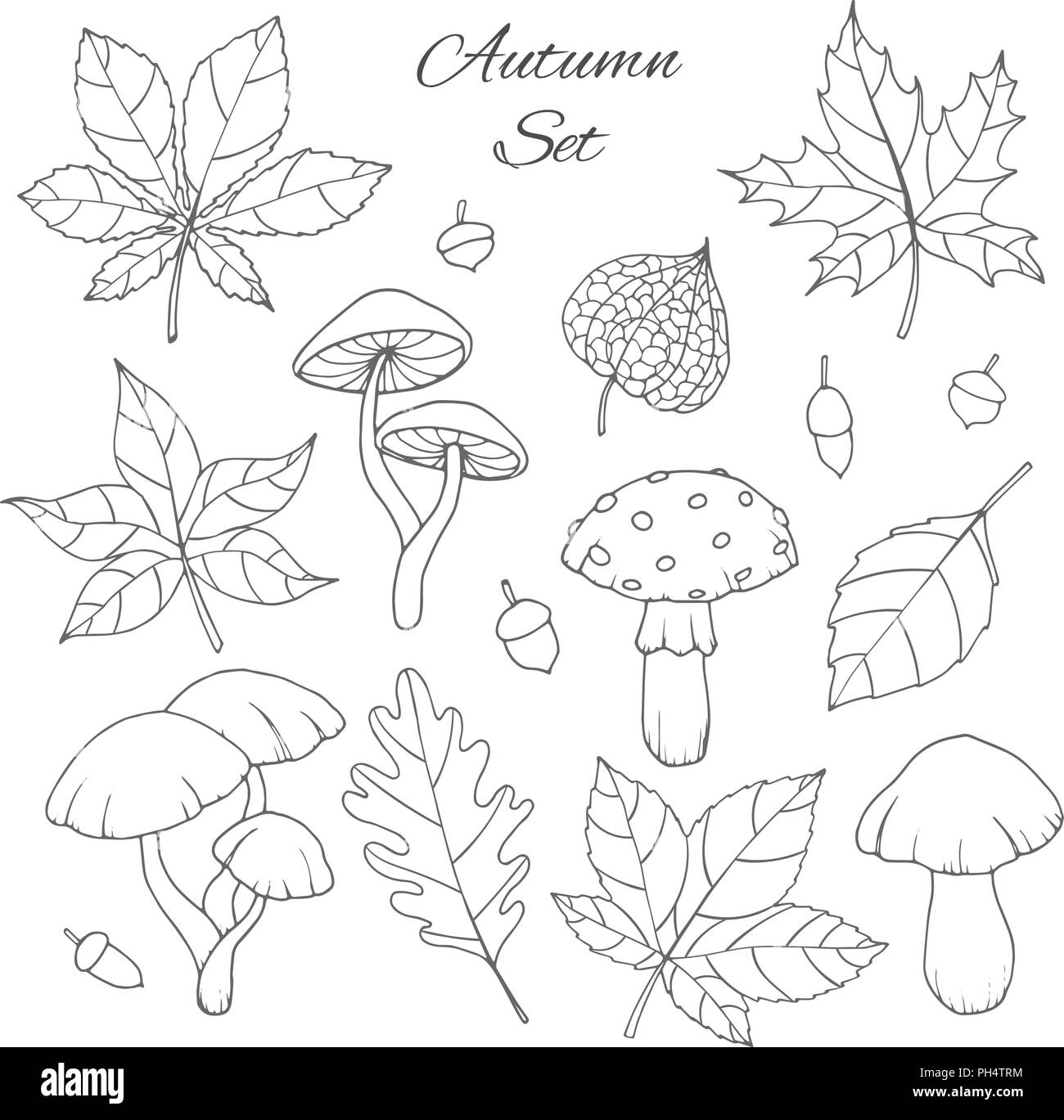 Disegnata a mano vector autunno insieme con la quercia, il pioppo, faggio, Aspen e ippocastano foglie, funghi, ghiande e contorno physalis isolato sul w Illustrazione Vettoriale