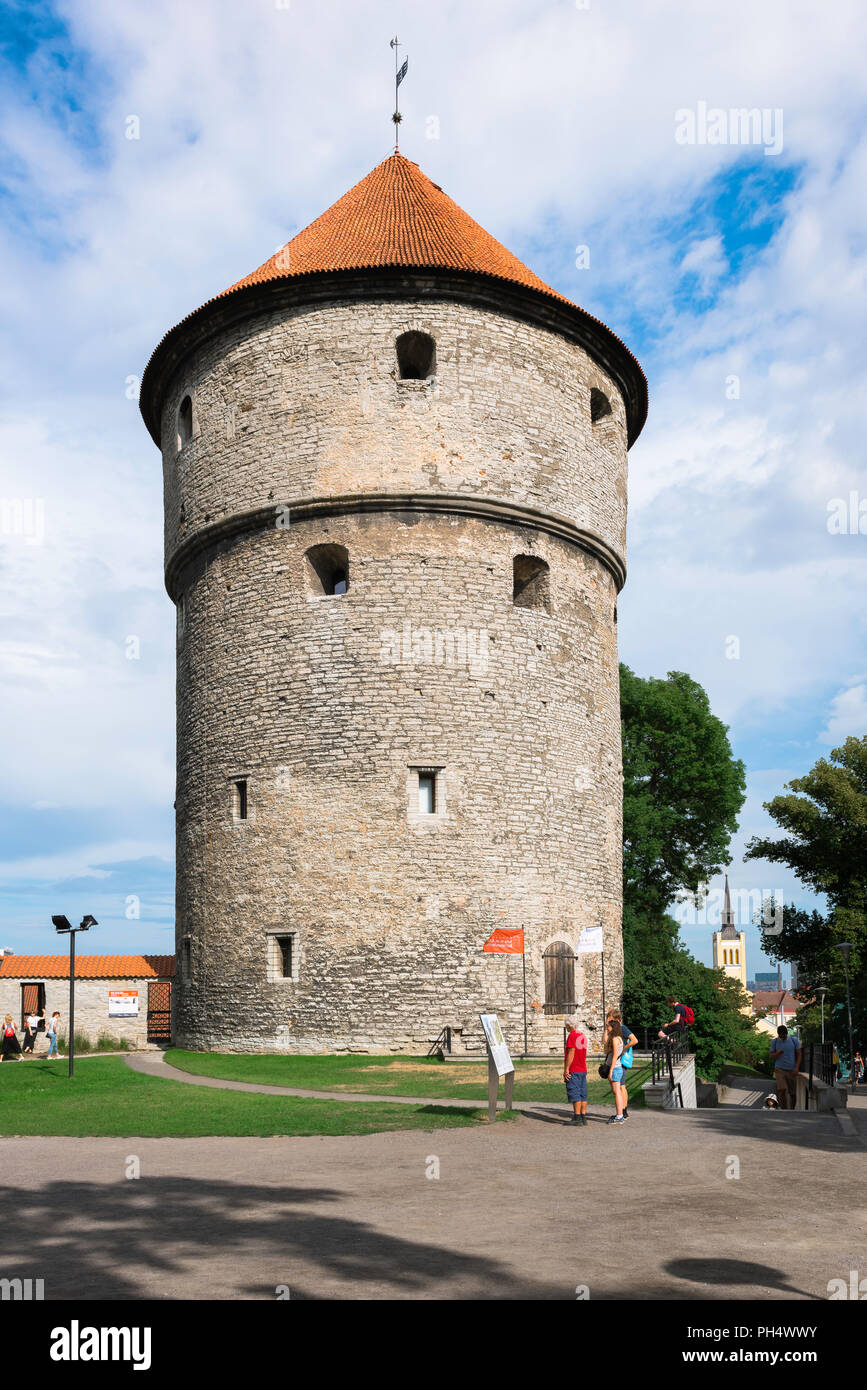 Tallinn Kiek in de Kok, vista dell alto medievale torre cannone sulla collina di Toompea noto come Kiek in de Kok, Tallinn, Estonia. Foto Stock