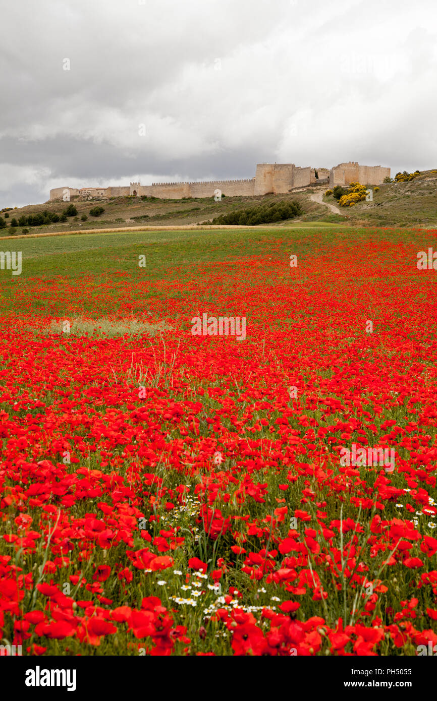 Lo spagnolo medievale cinto da mura di Uruena nella regione di Valladolid Castiglia y Leon in Spagna è conosciuta come Villa del Libro la città di libri Foto Stock