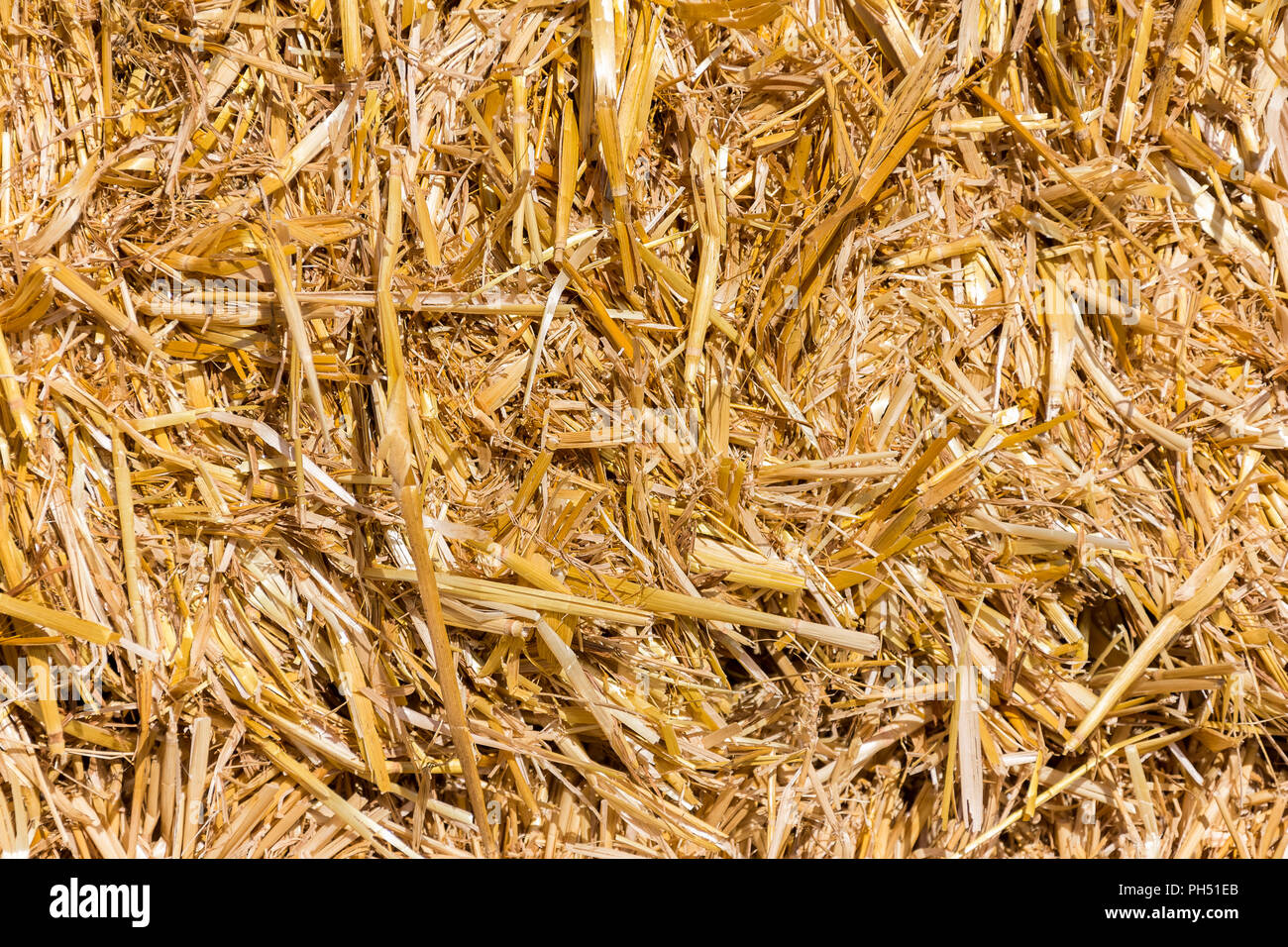 La paglia. Germania. Foto Stock