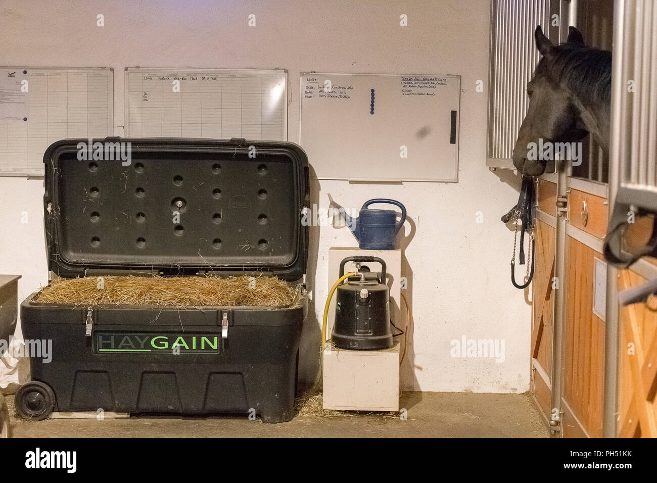 Sistema per la cottura a vapore di fieno in un cavallo stabile. Germania Foto Stock