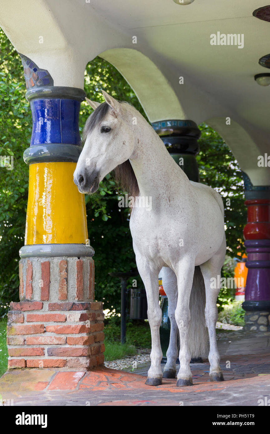 Puro Cavallo Spagnolo, PRE, Cavallo andaluso. Gray stallion a piedi tra colonne multicolori in hotel e spa Rogner Bad Blumenau (progettata da Friedensreich Hundertwasser). La Stiria, Austria Foto Stock